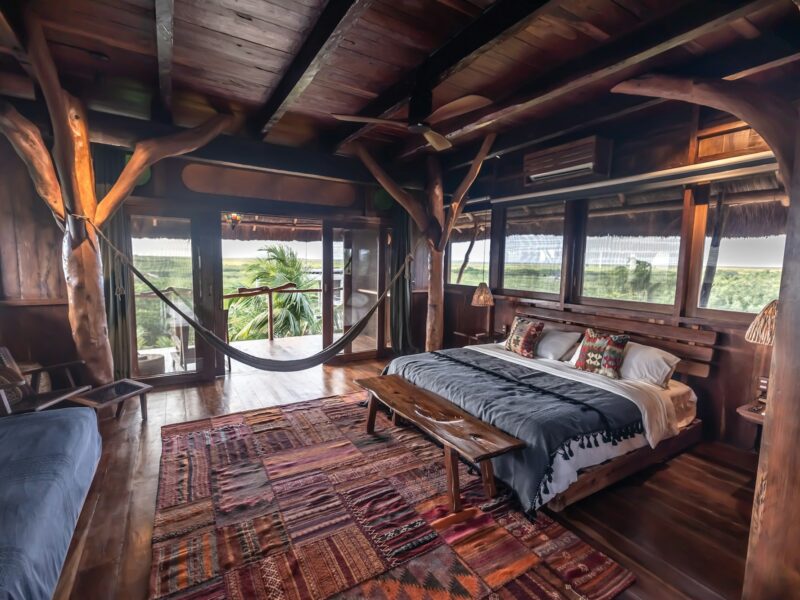 A bright room with a hammock hanging by the window